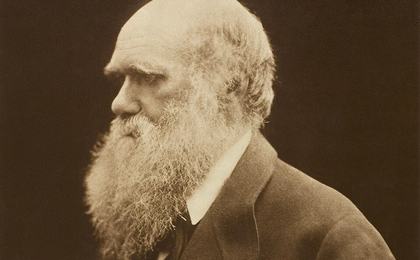 Carbon print of a photograph of Charles Darwin c.1868