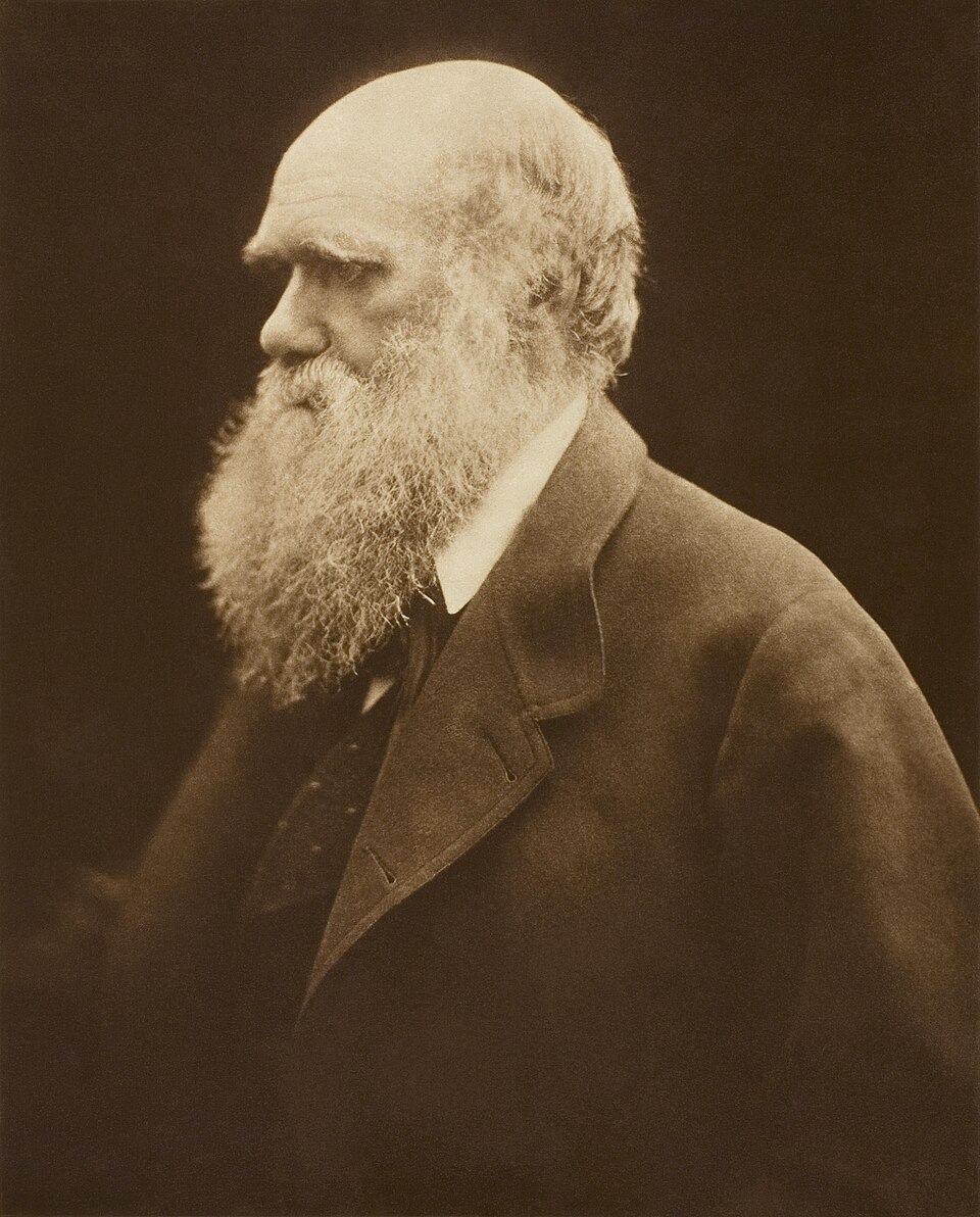 Carbon print of a photograph of Charles Darwin c.1868